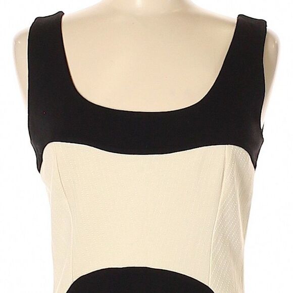 Figure Hugging Corselet Dress - Picture 4 of 5